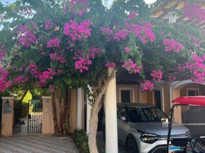 Twinhouse In Marassi - North Coast For rent